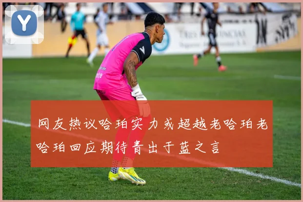 网友热议哈珀实力或超越老哈珀老哈珀回应期待青出于蓝之言
