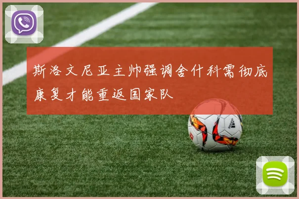 斯洛文尼亚主帅强调舍什科需彻底康复才能重返国家队