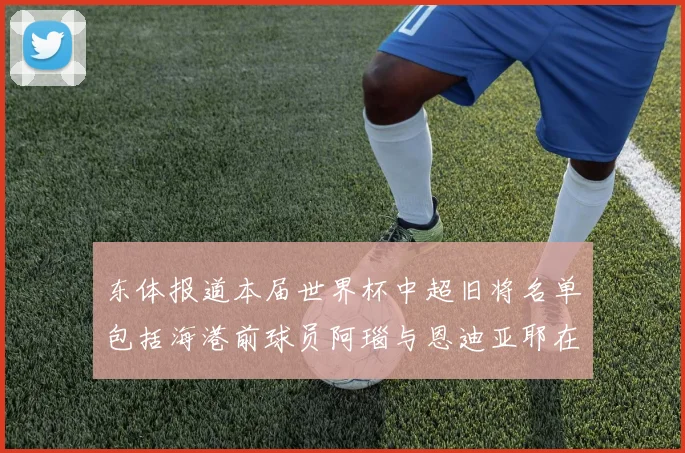 东体报道本届世界杯中超旧将名单包括海港前球员阿瑙与恩迪亚耶在内的10位球员