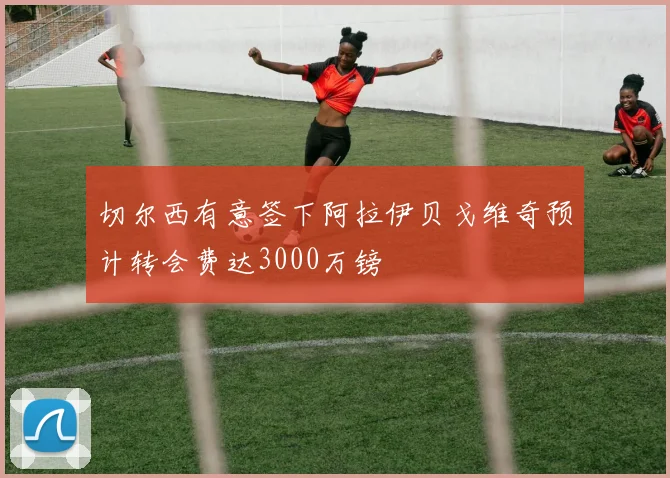 切尔西有意签下阿拉伊贝戈维奇预计转会费达3000万镑